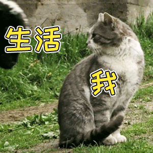 假如,人类不是动物的霸主？现实世界将变成什么种的结局？