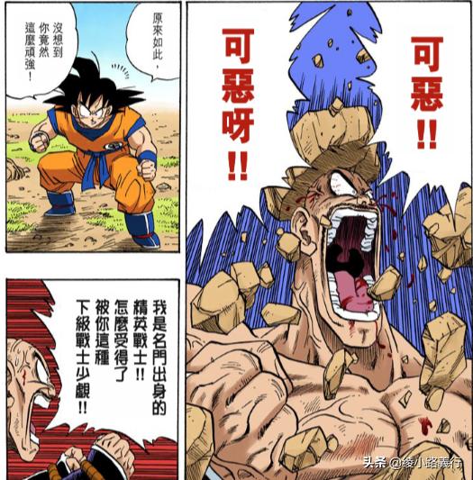卡卡罗特的父亲:《龙珠》中悟空这么强大为什么会是赛亚人中的下级战士