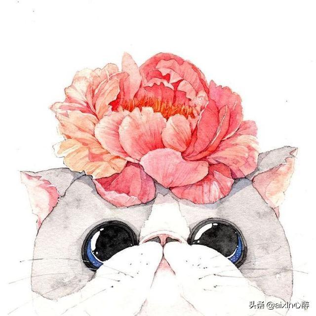 你觉得最好笑的句子或者一句话是什么？