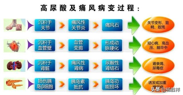 尿酸是什么?-育儿网