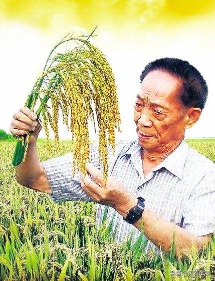 瞿秋白简介:为什么优秀的学生总是喜欢把翟秋白写进作文里？