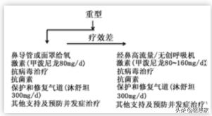 ecmo是什么意思?emo是什么意思