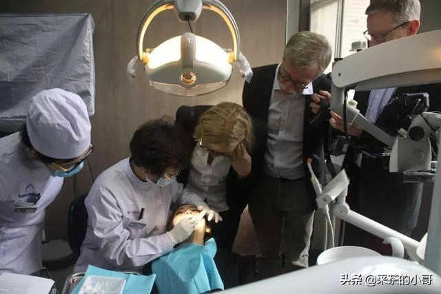 瑞士伯恩山犬有没中意的:银行女生适合买瑞士哪款表？