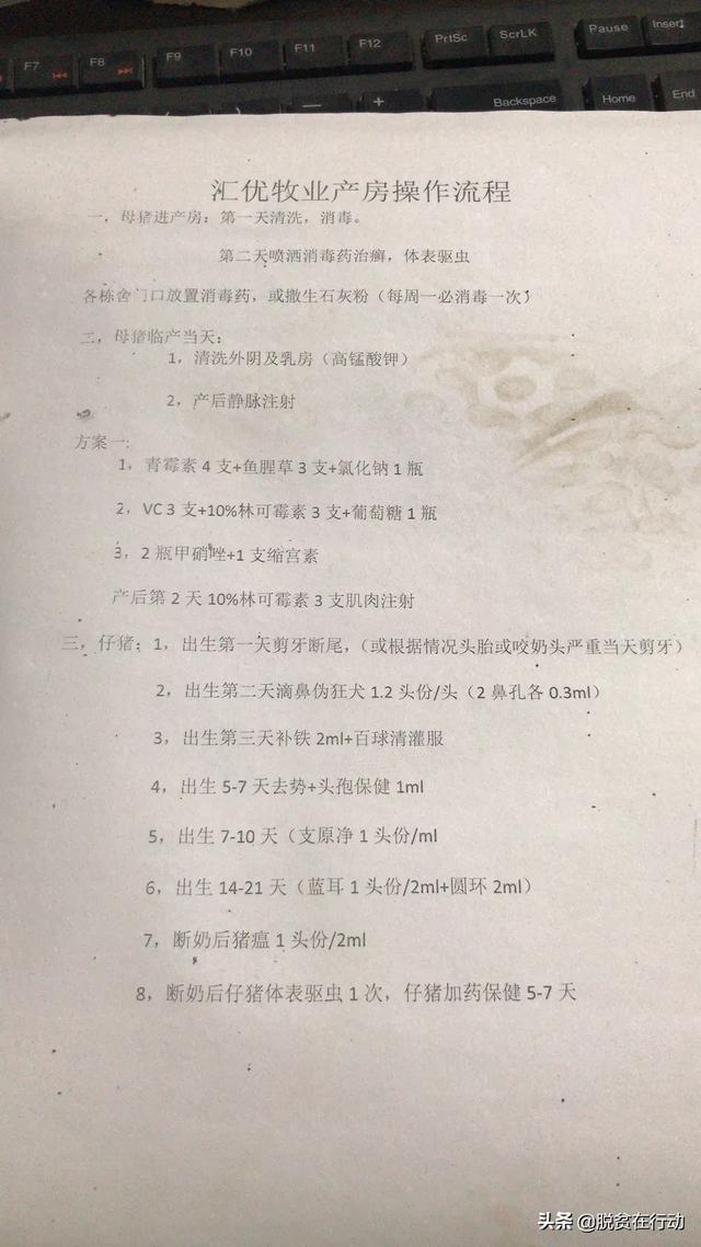 肌肉注射的注意事项:母猪全身通红又高烧打什么针好？要注意什么？