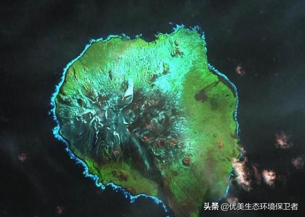 超过一百万只企鹅失踪！法属猪岛发生了什么？企鹅都去哪了？
