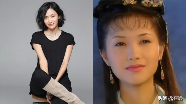 洪学敏个人资料:如果当今娱乐圈评选美女明星十二金钗，哪些人可以入选？