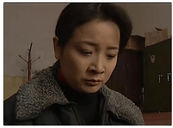 陈小艺个人资料:你看过最好看的破案剧是哪部？