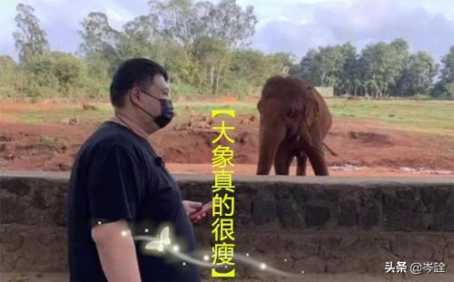 姜昆郭德纲:如果把郭德纲和姜昆关到一个屋里。他俩会交谈还是争相离开