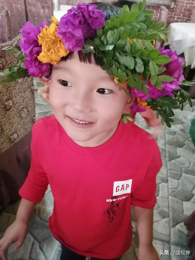 明犬作者照片:请问这张照片的优缺点在哪里？ 名犬