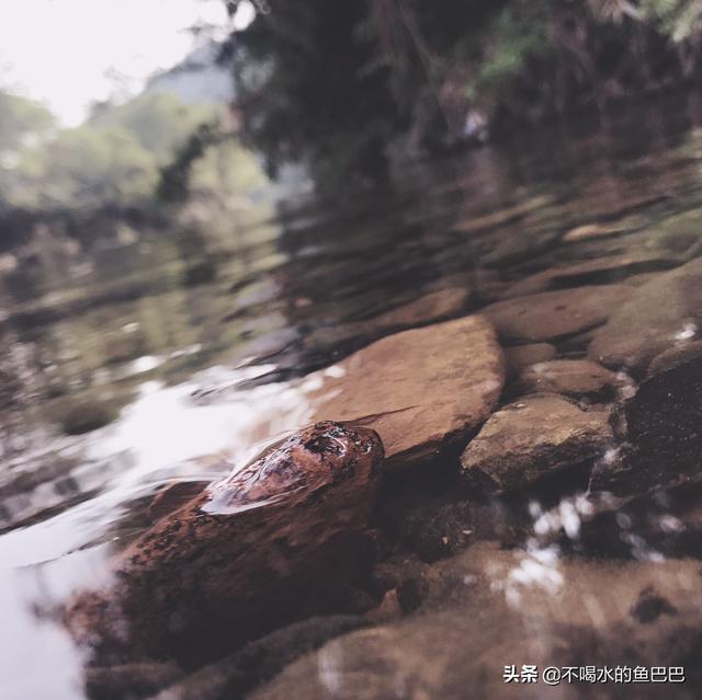 有些女性所谓的独立就是一个月挣三千,把自己打扮的漂漂亮亮的,吃干抹净,你怎么看？