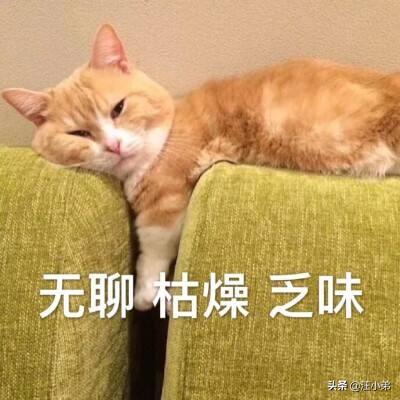 自动猫砂盆:猫喜欢玩大便和尿团，怎么办？