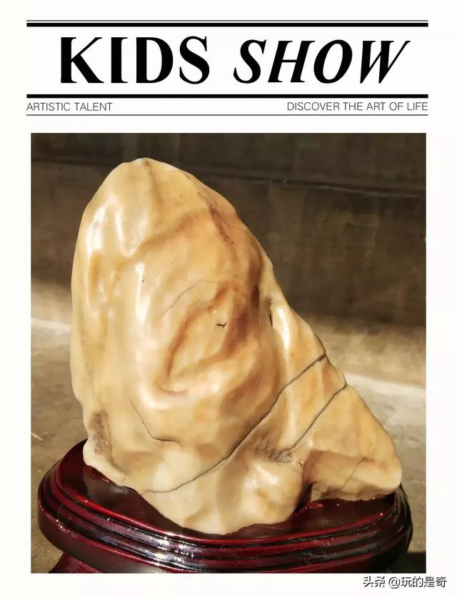 天然大化石原石图片,中国最具影响力的天然奇石有哪些？