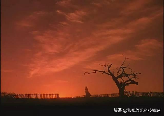 任玉瑶的《贝壳》大家为什么觉得好看？