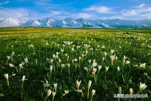 这首“清明”诗,是不是飘着“最淡”孤烟,蕴含着\