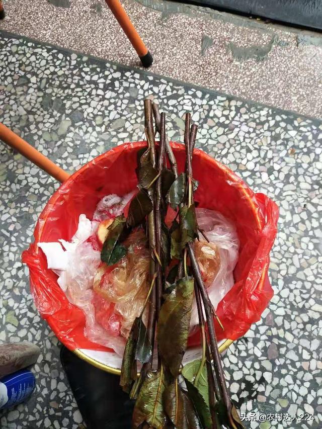 讲解粉丝投稿灵异事件:你在头条创作中，和粉丝之间发生过什么记忆犹新的故事吗？