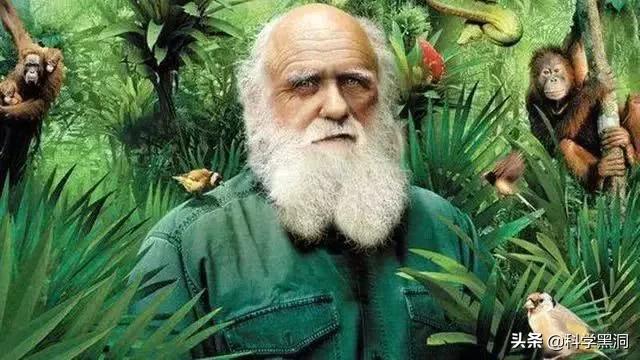 人类的起源在哪里？世界上第一个人是谁？