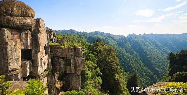 西伯利亚鼯鼠哪里有卖:全家人想去三亚旅游，行程应该如何制定？有哪些攻略推荐？