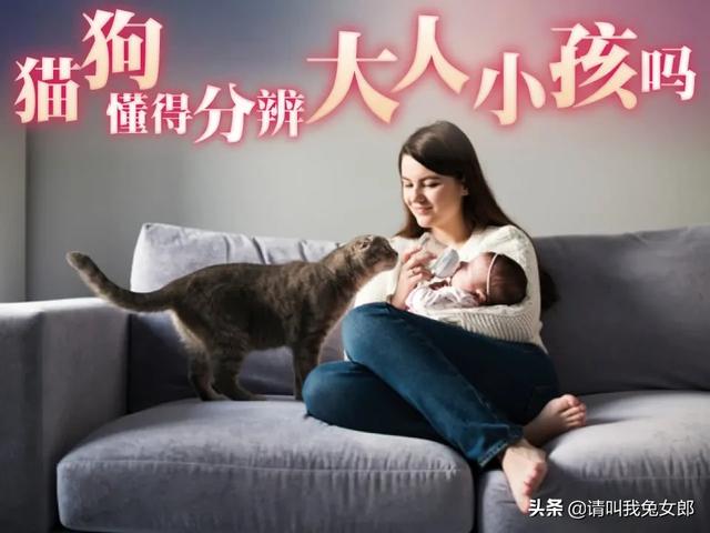 小孩狗:狗怎么分得清大人和小孩？ 小孩狗都嫌的年龄
