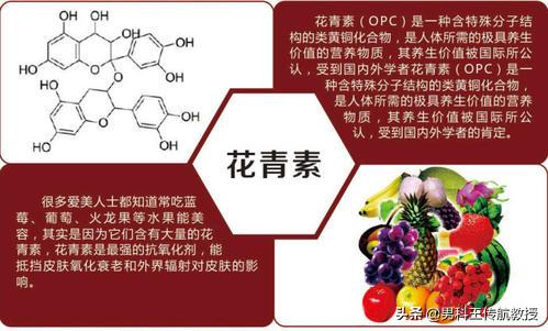 例假能喝黑枸杞，常喝野生黑枸杞对皮肤真的有帮助吗