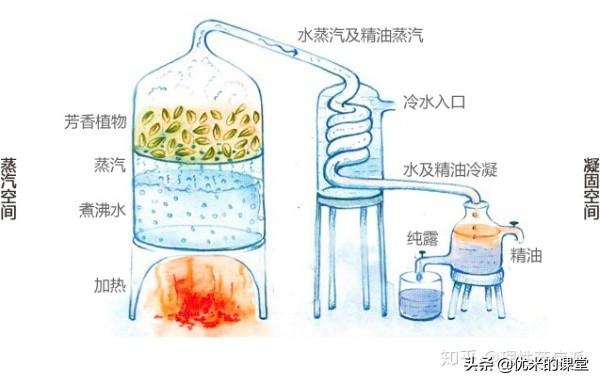 芭芭多芦荟灌肤好吗芦荟灌肤对皮肤有什么好处