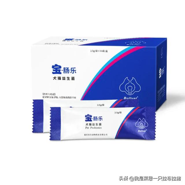 麦德氏益生菌狗狗吃了怎么样:狗狗拉稀，吃了益生菌还在拉，万能的朋友们有没有什么好的办法？