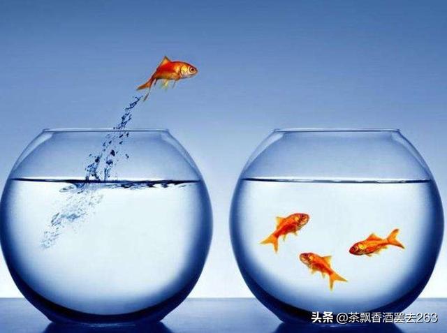 刘永行家族:去家族企业工作有没有前途呢？