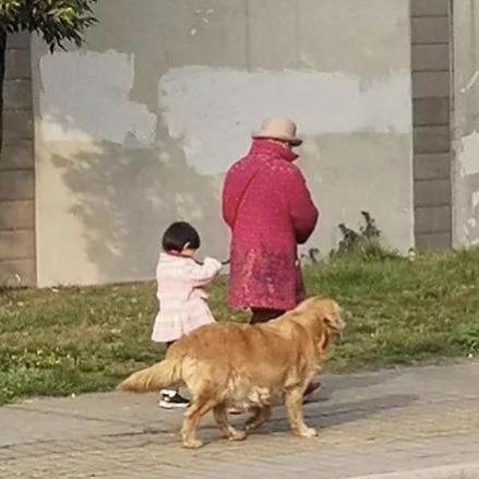 你遇到过什么样子的隔代亲？插图15