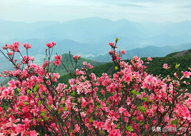 皖三省灵异事件:美团招聘宣称不要黄泛区和东北人引争议，黄泛区是哪？