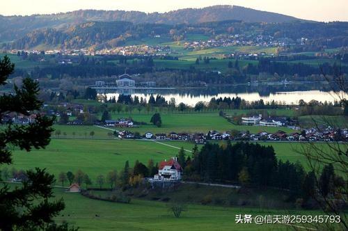 没接住飞鼠它会气死吗，你有没有被骗子骗过钱，最惨的一次是什么