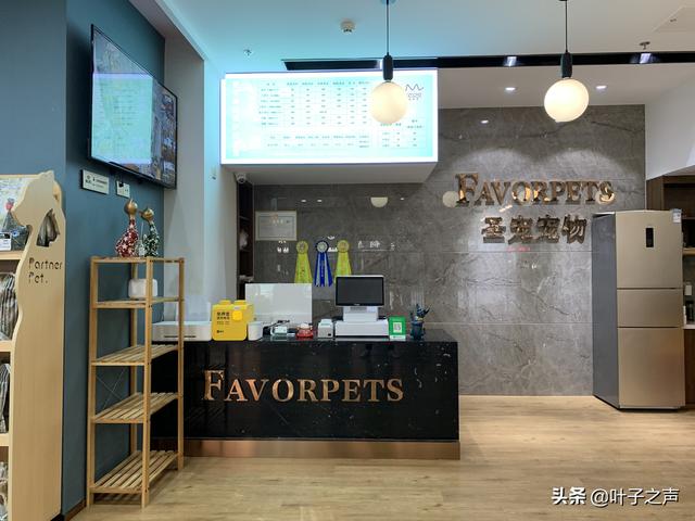宠物食品店如何开:加盟开宠物店有哪些技巧？