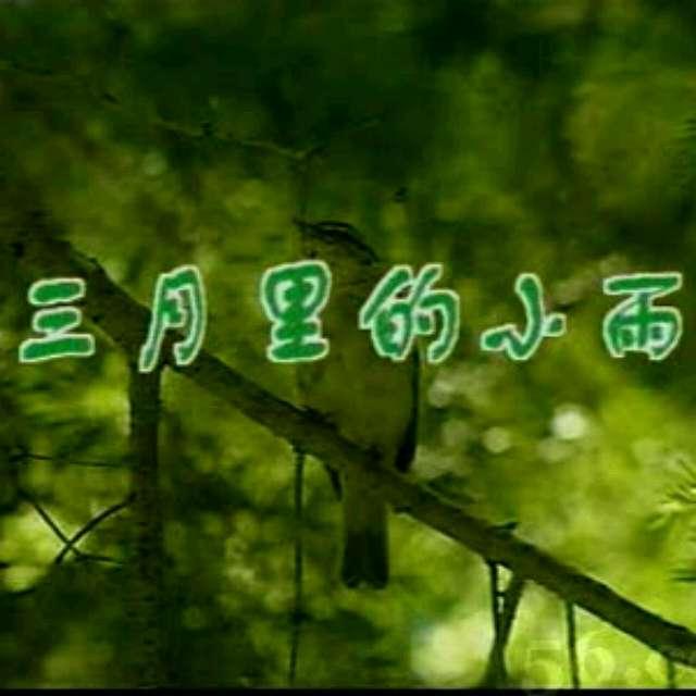 雨付梦妮:除了《不负骤雨》、《时间煮雨》之外有哪些可推荐的关于雨的歌？