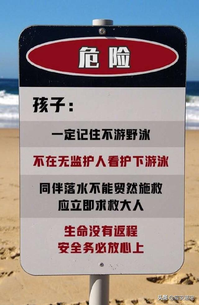 重庆115救狗事件:那些爱狗人士救了狗后，把狗搞到哪里去了？