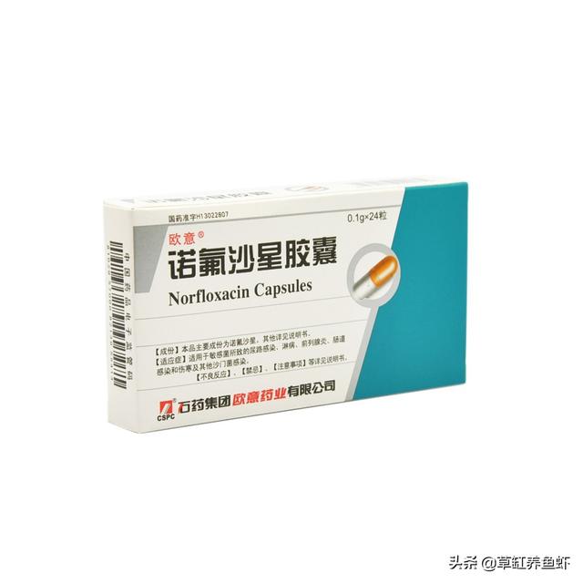 淘宝贼喜欢罗汉鱼论坛首页:罗汉鱼喜欢趴缸是什么情况？