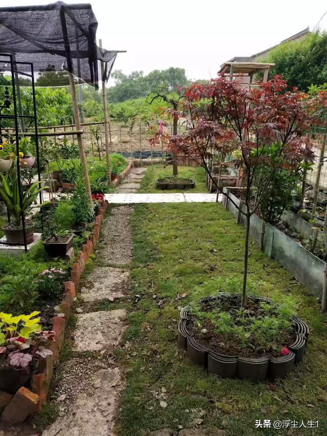 怎么做院子围墙又便宜又好看？插图84