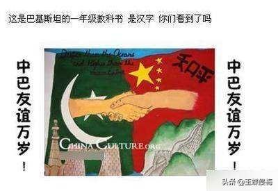对于中国与巴基斯坦的友谊,你如何看待？