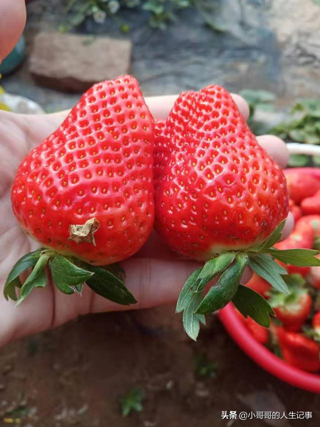 请问小孩子的健康险和意外险应该怎么买？