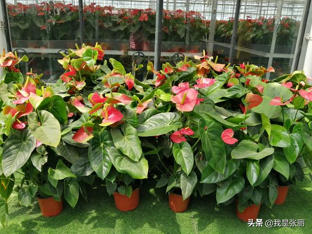 兰州富婆微信群:我哥媳妇比我小6岁，我第一次叫她嫂，觉得好尴尬怎么回事？