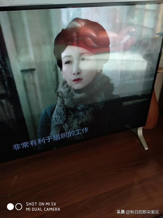 秦海璐的老公是谁呀:有人称《河山》中秦海璐的表演不如以往出色，你认同吗？