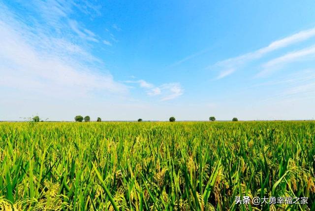 头条问答 世界上的农业大国和农业强国分别是谁 3个回答