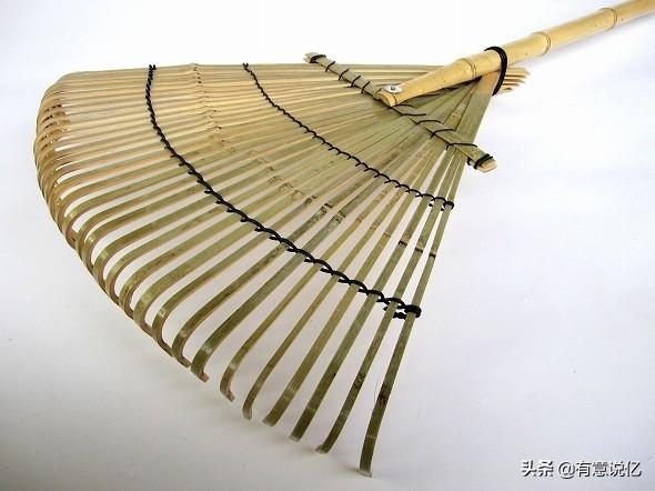 negro怎么读(negro怎么读?)