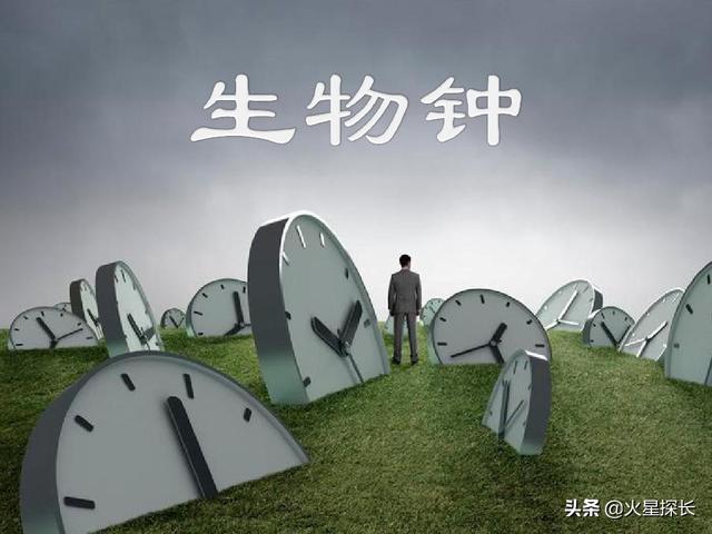 千万不要乱睡觉会改命,如果在睡觉的时候瞬间死亡，是否会有知觉？