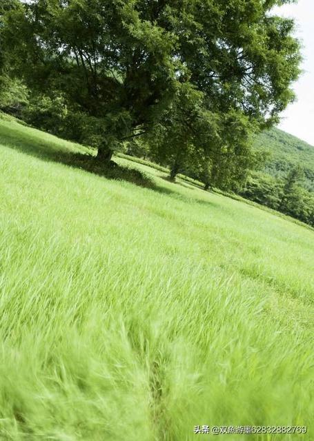 八字桃花多的男人,什么样的男人容易一直单身？