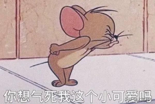 十二生肖里没有猫，而老鼠却排名第一的传说到底是怎样的呢？