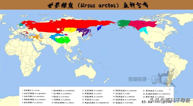 沃那比蛇有多大:世界最大的蛇有多长、多粗？