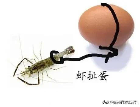 丈夫一丈之类是丈夫,一丈之外是什么？