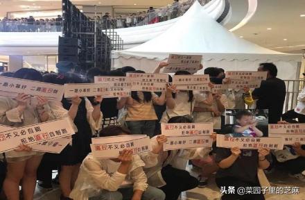 杨幂的近况如何？