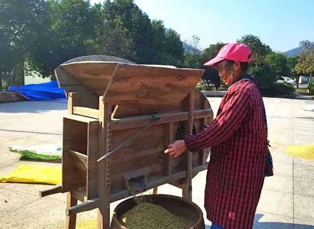 西北蝈蝈图片大全:过去的30年里身边有哪些东西在慢慢消失？