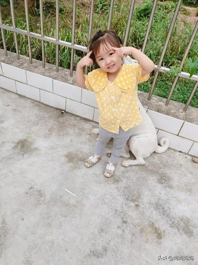 如何与宠物安全相处:宠物与宝宝该怎么去相处？ 如何与宠物相处安全教案