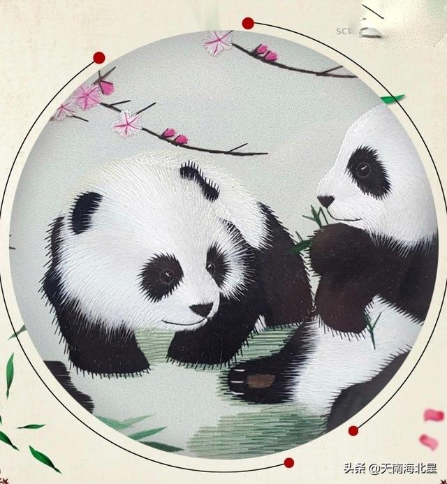 无知熊猫玩偶:出过国的你们，外国人对中国人好吗？