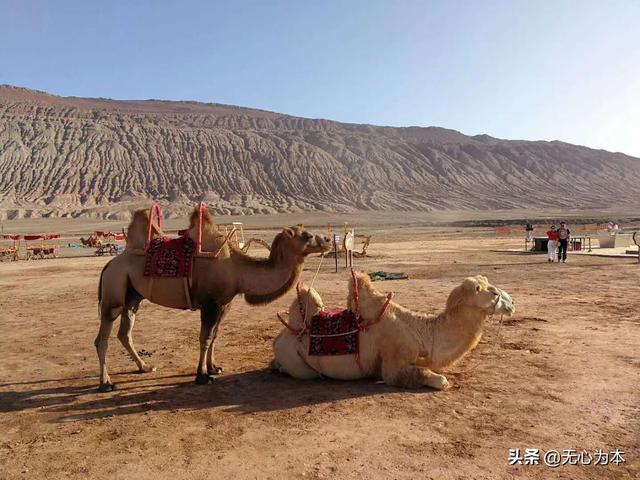 喀纳斯湖水怪抓住了:想去新疆自由行，有哪些好的景点推荐最佳旅行时间是什么时候